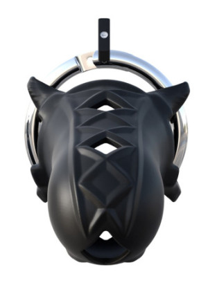 Cage de chasteté pour pénis C-Ringz - R542520